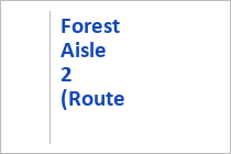 Forest Aisle 2 - Lermoos - Tiroler Zugspitzarena - Tirol