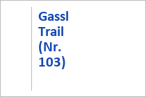 Gassl Trail (Nr. 103) - Bikepark Reiteralm - Schladming - Steiermark