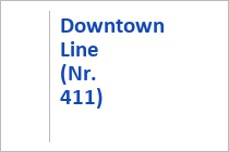 Downtown Line (Nr. 411) - Bikepark Schladming 2.0 - Schladming - Steiermark