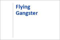 Flying Gangster - The EPIC Bikepark Leogang - Saalfelden-Leogang - Salzburger Land