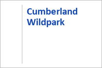 Cumberland Wildpark - Grünau im Almtal - Traunsee-Almtal - Oberösterreich