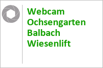Webcam Balbach Wiesenlift - Ochsengarten - Ötztal