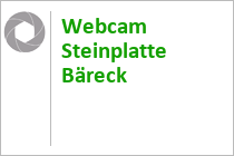 Webcam Steinplatte Bäreck - Waidring - Winklmoosalm