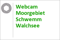 Webcam Moorgebiet Schwemm - Walchsee - Kaiserwinkl