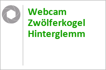 Webcam Zwölferkogel - Hinterglemm - Glemmtal