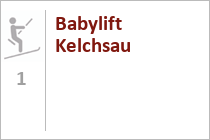 Babylift Kelchsau 