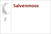 Salvenmoos