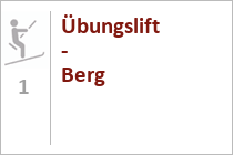 Übungslift - Berg - Skigebiet Scheffau