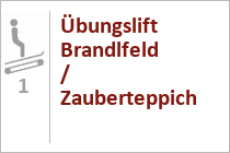 Zauberteppich Astberg / Übungslift Brandlfeld - Skiwelt Wilder Kaiser - Going