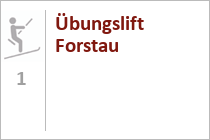 Übungslift Forstau - Skigebiet Fageralm - Forstau - Salzburger Land