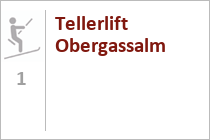 Tellerlift Obergassalm - Skigebiet Snow Space Salzburg - Wagrain - Flachau