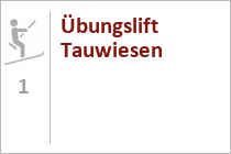 Übungslift Tauwiesen - Skigebiet St. Johann in Tirol - Oberndorf - Skistar