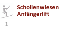 Schollenwiesen Anfängerlift