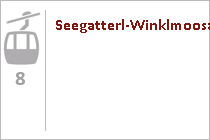 8er Gondelbahn Seegatterl-Winklmoosalm - Skigebiet Steinplatte/Winklmoosalm - Waidring - Reit im Winkl
