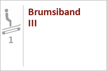 Brumsiband III - Förderband - Skischule Gosau - Skigebiet Dachstein WestBrumsiband III