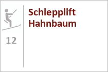 Schlepplift Hahnbaum - Skigebiet Hahnbaum - St. Johann im Pongau