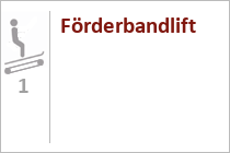 IKIs Zauberteppich - Skischule - Skigebiet Werfenweng - Salzburger Land