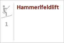 Übungslift Hammerfeld - Skigebiet Unken-Heutal - Salzburger Saalachtal