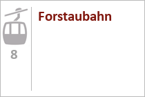 Forstaubahn - Gondelbahn - Seilbahnen Forstau