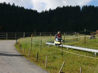 Fisser Flitzer - Einschienen - Sommerrodelbahn