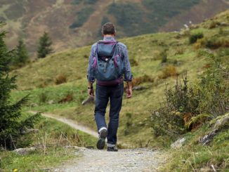 Wanderer (Symbolbild). // Foto: Hermann Traub auf pixabay.com