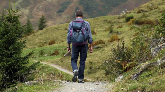 Wanderer (Symbolbild). // Foto: Hermann Traub auf pixabay.com