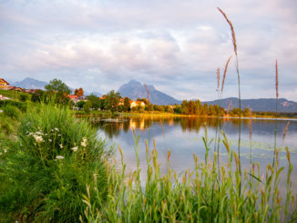 Der Hopfensee im Allgäu ist ein beliebtes Ausflugsziel. // Foto: alpintreff.de - Christian Schön