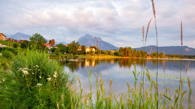 Der Hopfensee im Allgäu ist ein beliebtes Ausflugsziel. // Foto: alpintreff.de - Christian Schön