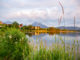 Der Hopfensee im Allgäu ist ein beliebtes Ausflugsziel. // Foto: alpintreff.de - Christian Schön