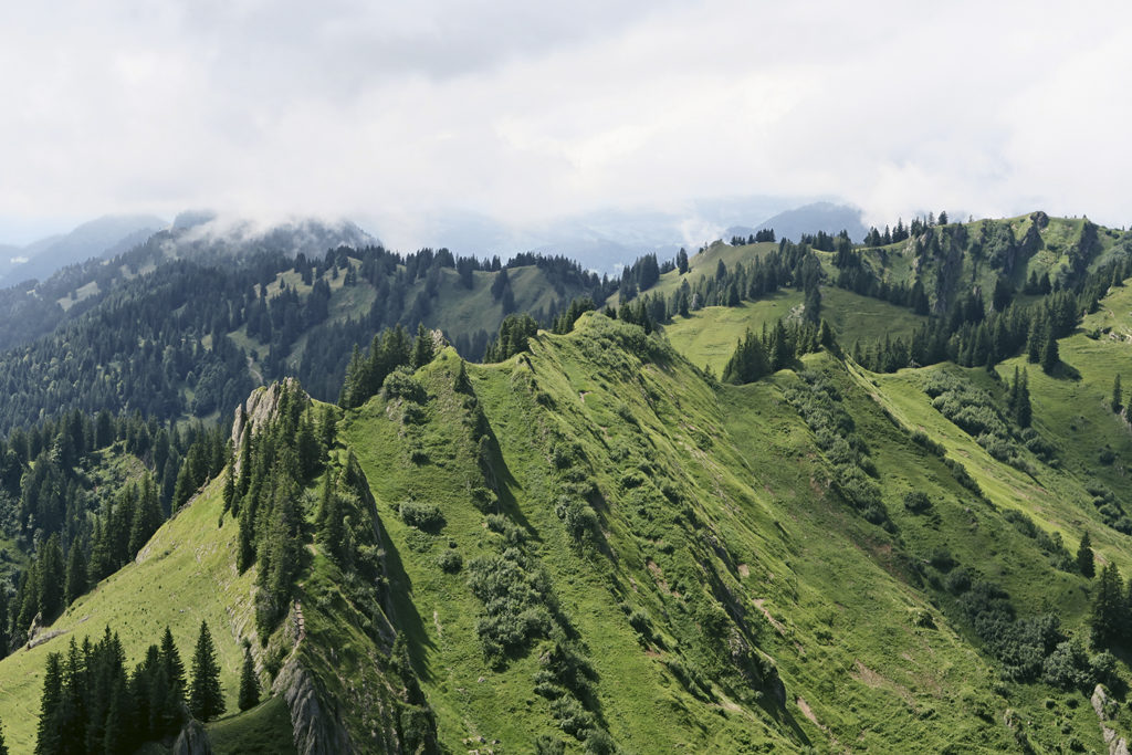 Die schlauchartigen Rinnen sind typisch für die Nagelfluhberge. // Foto: Ulf Streubel und Matthias Schopp