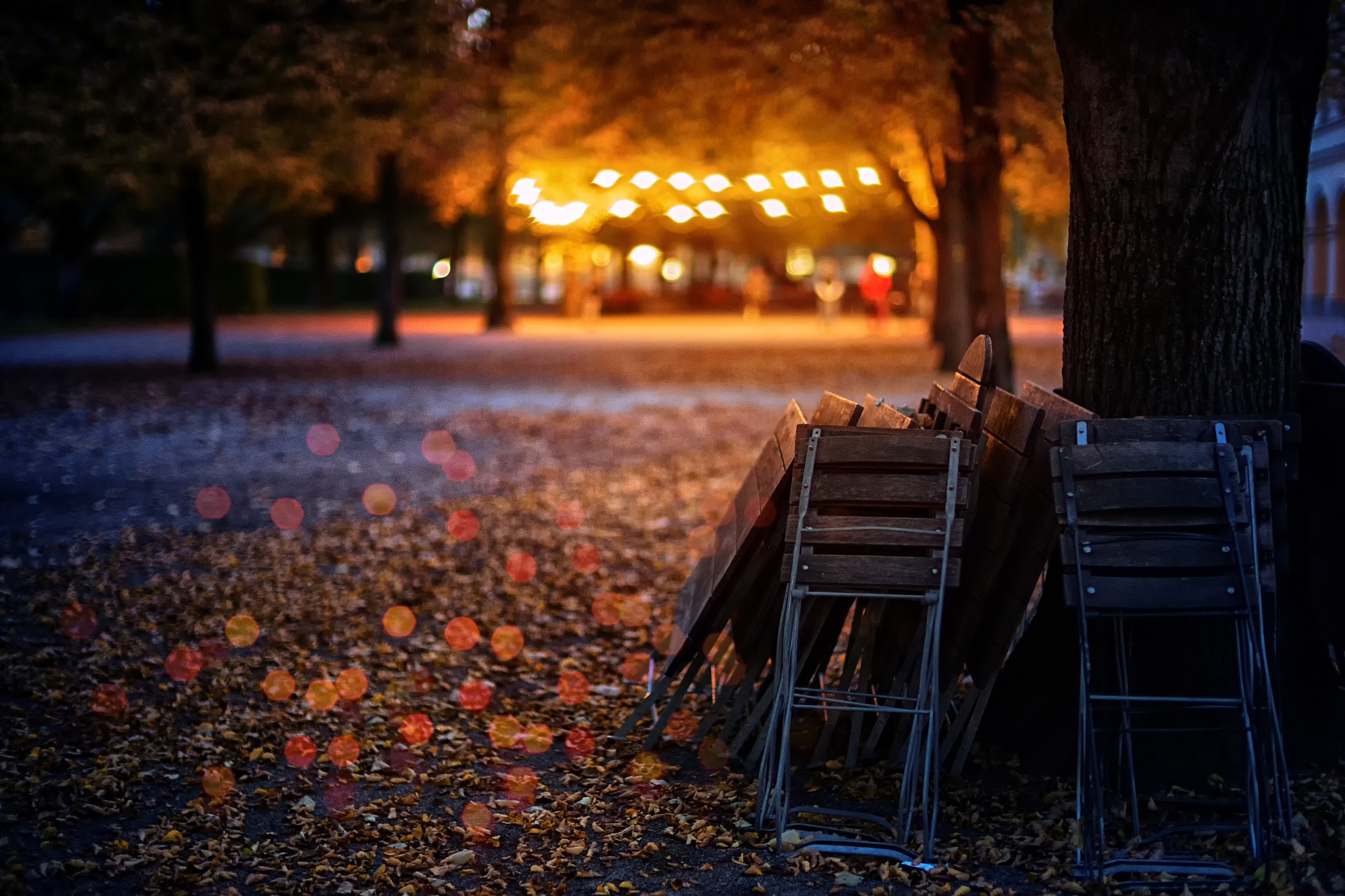 autumn-3157302_1920