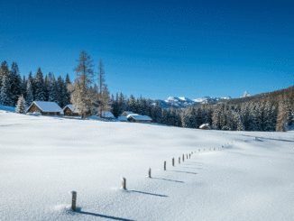 Viehbergalm bei Gröbming (Schladming-Dachstein) // Foto: © Steiermark Tourismus / photo-austria.at