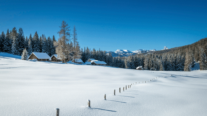 Viehbergalm bei Gröbming (Schladming-Dachstein) // Foto: © Steiermark Tourismus / photo-austria.at