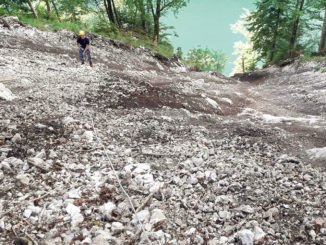 Direkt nach dem Murenabgang am Kaunersteig im Frühjahr 2019 war die Sturzbahn angefüllt mit losem Gesteinsmaterial. // Foto: Nationalpark Berchtesgaden