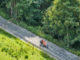 Mountaincarts sind immer beliebter - Sommer für Sommer. // Foto: alpintreff.de - Christian Schön