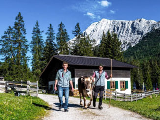 Jonas Metzler und Patrick Koch fühlen sich als Hüttenwirte extrem wohl. // Foto: Tillfussalm