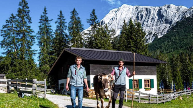 Jonas Metzler und Patrick Koch fühlen sich als Hüttenwirte extrem wohl. // Foto: Tillfussalm