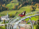 Der Alpine Coaster "Drachenflitzer" ist die brandneue Attraktion in der Wildschönau. // Foto: Wildschönau Tourismus