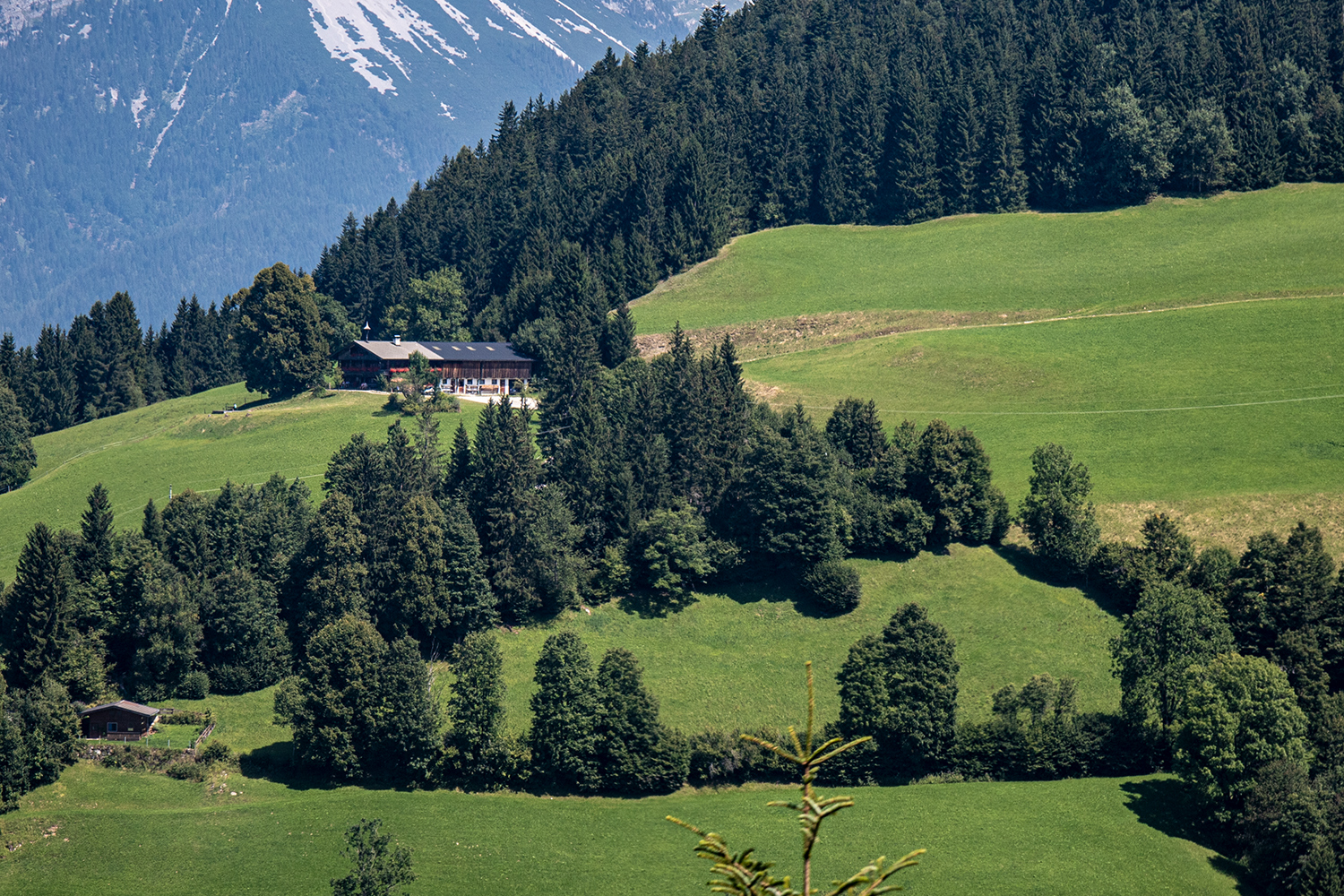 soell-gruberhof-bergdoktor