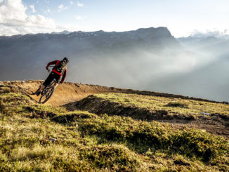 Der fünf Kilometer lange Zirmtrail ist Bestandteil des Goldbikeparks in Nauders. // Foto: TVB Tiroler Oberland - Filmkabinett Albert Florian