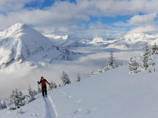 Im Tiroler Lechtal entdecken Gäste unter fachkundiger Anleitung alternative Wintersportarten und genießen dabei die Langsamkeit und Ruhe abseits der Piste // Foto: Ma.Fia.Photography