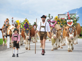 Jedes Jahr ein tolles Fest: der Almabtrieb in Reith im Alpbachtal. // Foto: Alpbachtal Tourismus, Gabriele Grießenböck