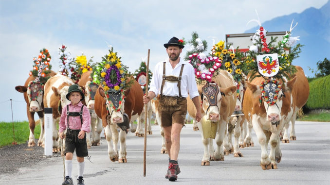 Jedes Jahr ein tolles Fest: der Almabtrieb in Reith im Alpbachtal. // Foto: Alpbachtal Tourismus, Gabriele Grießenböck