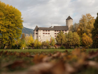 Zu jeder Jahreszeit schön anzusehen ist der Matzenpark mit seinen vielen bunten Laubbäumen. // Foto: TVB Alpbachtal / Torsten Mühlbacher