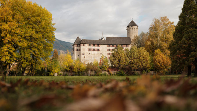 Zu jeder Jahreszeit schön anzusehen ist der Matzenpark mit seinen vielen bunten Laubbäumen. // Foto: TVB Alpbachtal / Torsten Mühlbacher