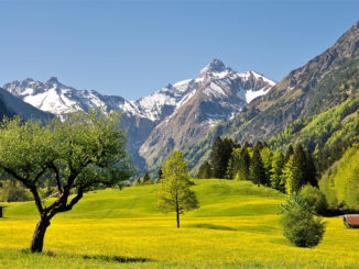 Malerisch vor einer eindrucksvollen Bergkulisse: das Trettachtal. // Foto: Tourismus Oberstdorf, Photographie Monschau