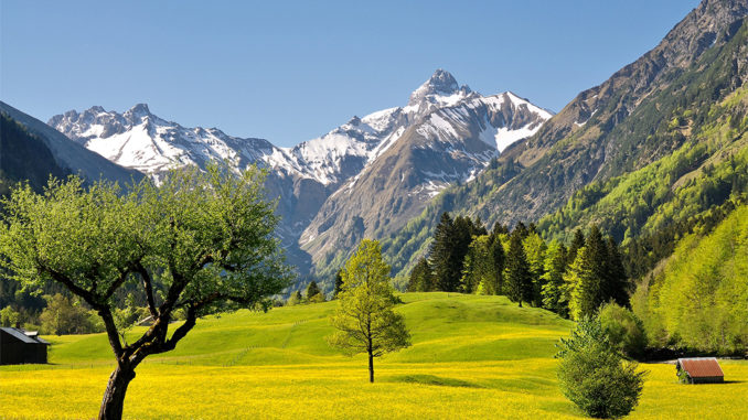 Malerisch vor einer eindrucksvollen Bergkulisse: das Trettachtal. // Foto: Tourismus Oberstdorf, Photographie Monschau