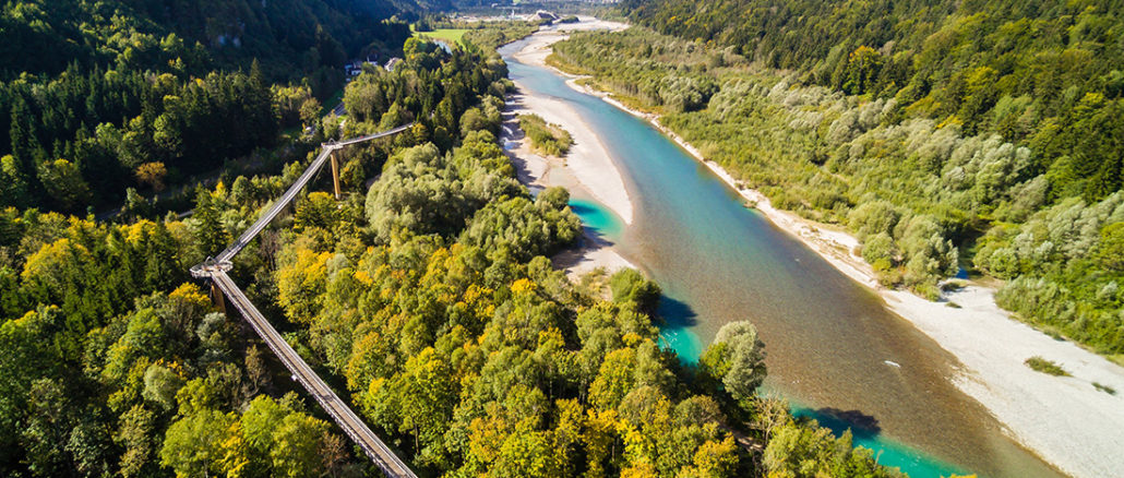 Aus der Vogelperspektive ist der Baumkronenweg im Walderlebnis Ziegelwies in Füssen/Allgäu gleich nochmal so eindrucksvoll und offenbart die Aussicht auf den Lech sowie den umliegenden Berg- und Auwald. // Foto: Füssen Tourismus und Marketing / Mathias Struck