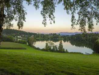 Maltschacher See: Postkarten-Kulisse für den neuen Slow Trail in Kärnten. // Foto: Franz Gerdl, MBN Tourismus