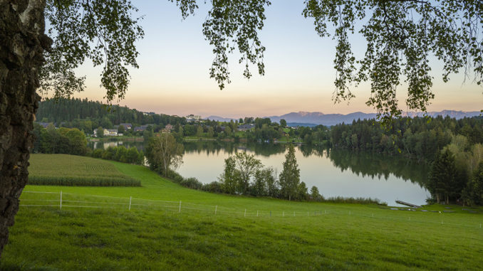 Maltschacher See: Postkarten-Kulisse für den neuen Slow Trail in Kärnten. // Foto: Franz Gerdl, MBN Tourismus